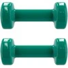 Vinilinių hantelių rinkinys Spokey SHAPE 2x 2kg