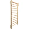 Wall Bars inSPORTline Shapemar 250 x 90 cm