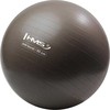 YB02N 65CM GRIZZLY GIMNASTIKOS KAMUOLYS HMS