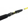 Zfish Rod Kodiak 2,40m/100-250g