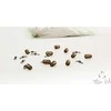 ZFISH Swivel Stop Beads 2in1
