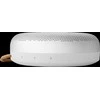 Bang &amp; Olufsen Beosound A1 3rd Gen Natural Alu