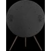 Bang &amp; Olufsen Beoplay A9 5th Gen. kolonėlė (Black Anthracite)