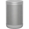 Bang & Olufsen Explore Nešiojama ir tvirta Bluetooth kolonėlė, Pilkos spalvos