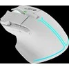 CANYON pelė Fortnax GM-636 RGB 9buttons su laidu Baltas