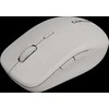 CANYON pelė MW-12 Dual band Wireless pilkas