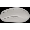 CANYON pelė MW-12 Dual band Wireless pilkas