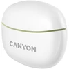 Ausinės Canyon TWS-5, Sąmanų spalvos