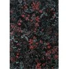 Fargotex Kilima SECRET 160X230