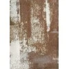 Fargotex Kilimas RUST 200x300