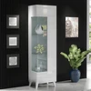 Szynaka Trendline Vitrina AZZURRO 12