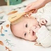 Baby Ono BabyOno natūralių šerių šepetys 799