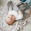 Baby Ono BabyOno vystyklai medvilniniai 3 vnt pilki 348/10