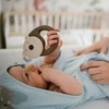 Baby Ono Babyono barškutis meška 1546