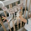 Baby Ono BabyOno žaislas vežimėlio auto kėdutės gamtoje 1578