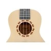 Ukulelė Aiersi SU-034BG