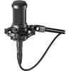 Audio Technica AT2050 Kondensatorinis mikrofonas, Juodas