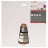 Bosch Stac.disk.pjūkl.diskas 254x30x96 multi material
