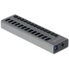 Delock External SuperSpeed USB Hub su 13 prievadų + jungikliu
