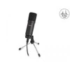 Delock Professional USB kondensacinis mikrofonas 24 bitų / 192 kHz