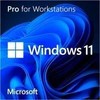 Microsoft | Windows 11 Pro for Workstations | HZV-00101 | English International | OEM | DVD-ROM | OEM | 64-bit