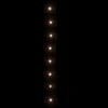 300 LED lempučių girlianda, šiltos baltos spalvos, 30m, PVC