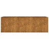 Aukštas sodo lovelis, 120x40x40cm, Corten plienas