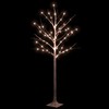 Beržas su 72 šiltomis baltomis LED lemputėmis, 150cm, baltas