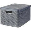 Curver Daiktadėžė su dangčiu Style, metalinė sidabrinė, 30l, L