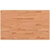 Darbastalis, 100x60x(71,5-98)cm, bukmedis, stačiakampis