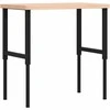 Darbastalis, 100x60x(73-99,5)cm, bukmedis, stačiakampis