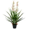 Dirbtinė Cymbidium orchidėja su vazonu, 100cm, žalia