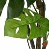 Dirbtinė monstera su vazonu, 170 cm, žalia