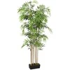 Dirbtinis bambukas, žalios spalvos, 80cm, 500 lapai