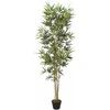Dirbtinis bambukas, žalios spalvos, 80cm, 368 lapai