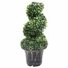 Dirbtinis buksmedis vazone, žalias, 59cm, spiralės formos