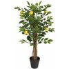 Dirbtinis citrinmedis su trimis kamienais, žalias, 85cm, PP