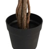 Dirbtinis citrinmedis su trimis kamienais, žalias, 85cm, PP