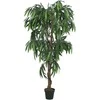 Dirbtinis mango medis, žalios spalvos, 180 cm, 900 lapų