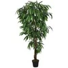 Dirbtinis mango medis, žalios spalvos, 200 cm, 1050 lapų
