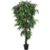 Dirbtinis mango medis, žalios spalvos, 80 cm, 300 lapų