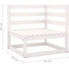 Dvivietė sodo sofa, baltos spalvos, pušies medienos masyvas