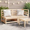 Dvivietė sodo sofa, pušies medienos masyvas
