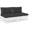 Dvivietė sodo sofa su antracito pagalvėlėmis, pušies masyvas