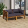 Dvivietė sodo sofa su pagalvėlėmis, akacijos medienos masyvas