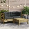 Dvivietė sodo sofa su pagalvėlėmis ir pakoja