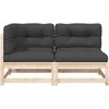 Dvivietė sodo sofa su pagalvėlėmis, pušies medienos masyvas