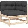 Dvivietė sodo sofa su pagalvėlėmis, pušies medienos masyvas