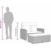 Dvivietė sodo sofa su pagalvėlėmis, smėlio, poliratanas/akacija