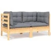 Dvivietė sodo sofa su pilkomis pagalvėlėmis, pušies masyvas
